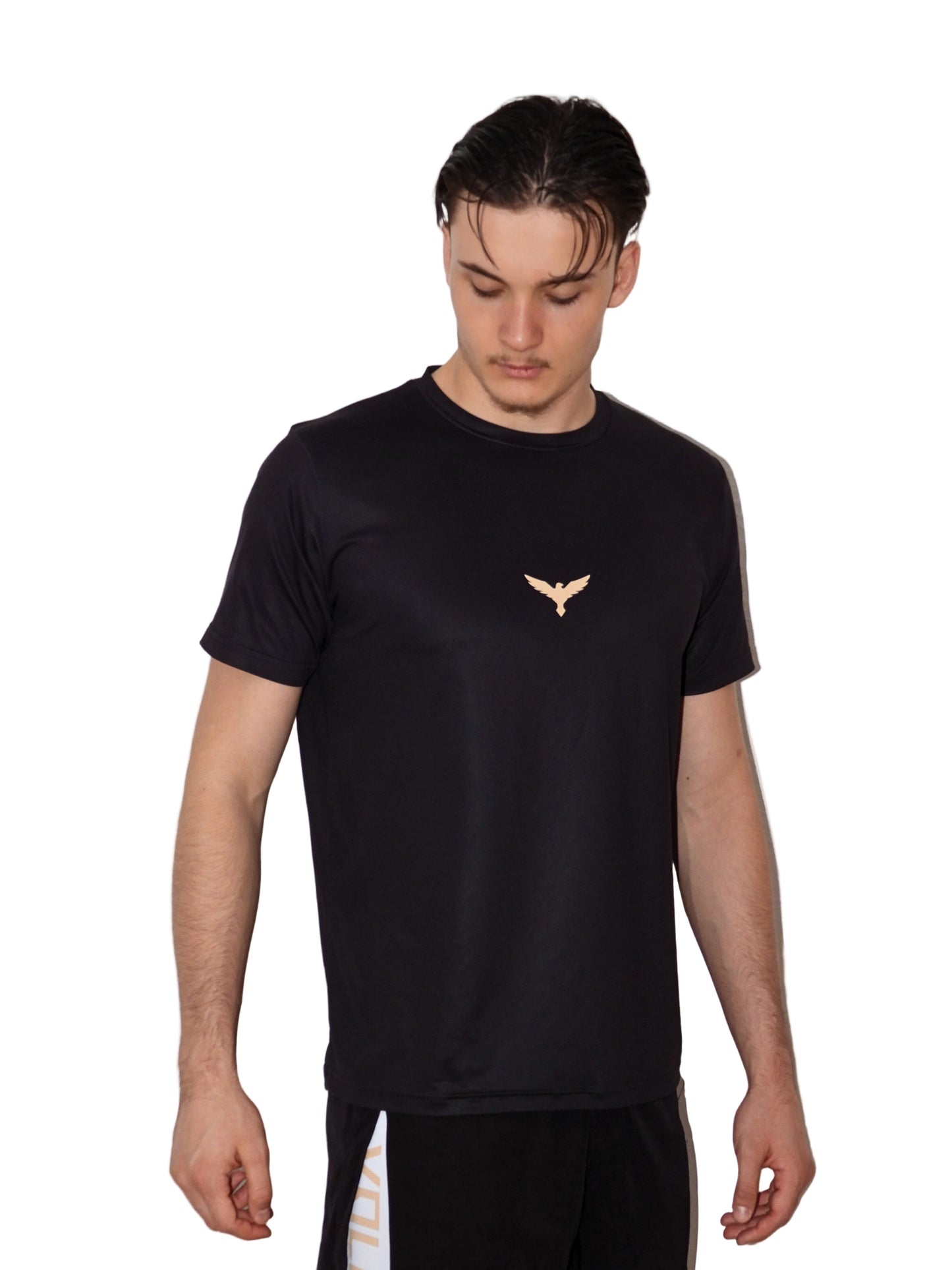 VOLNIK T-shirt Black/Gold
