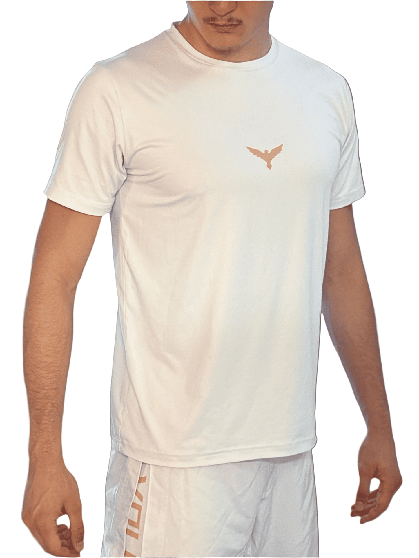 VOLNIK T-shirt White/Gold