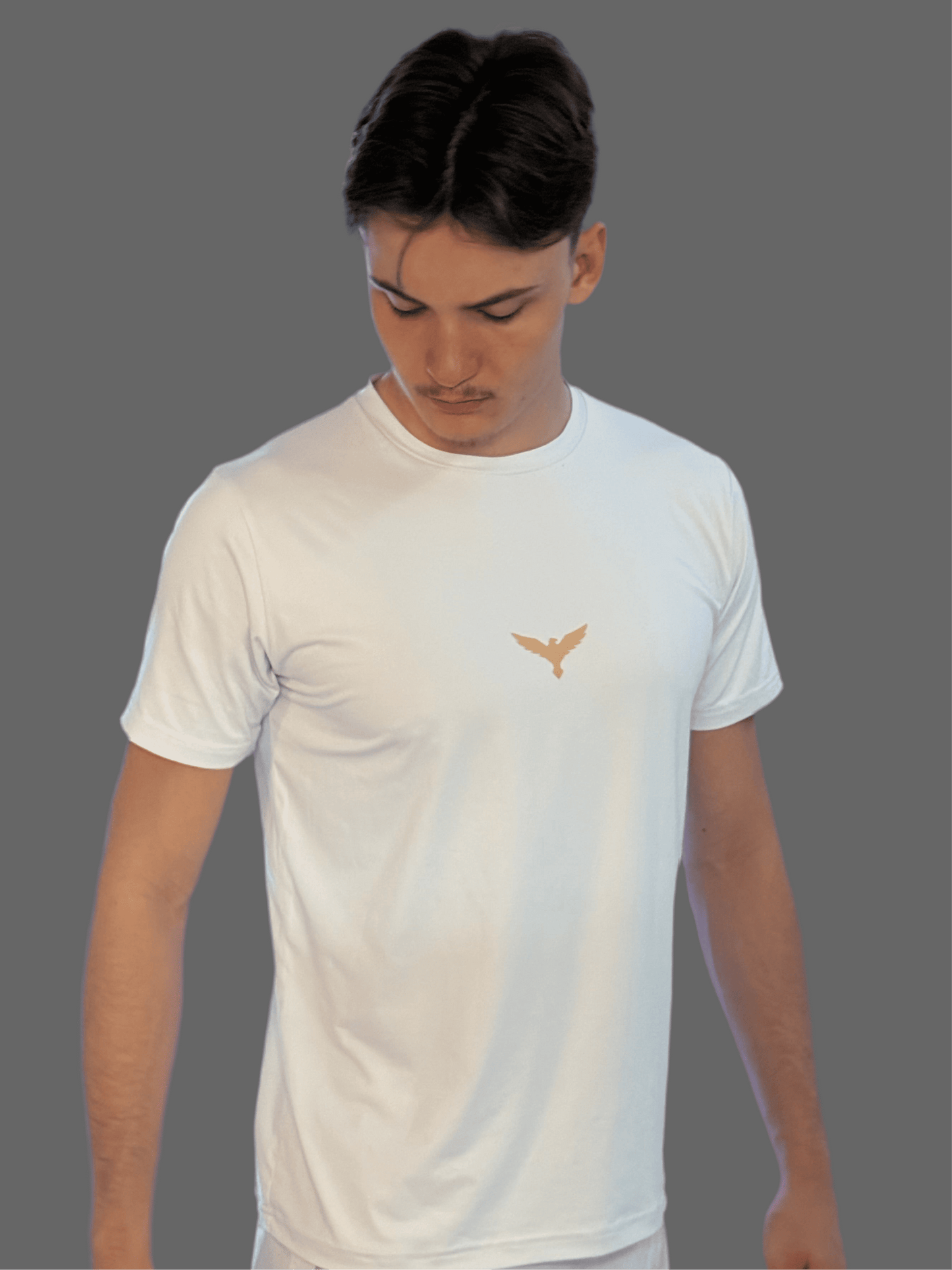 VOLNIK T-shirt White/Gold
