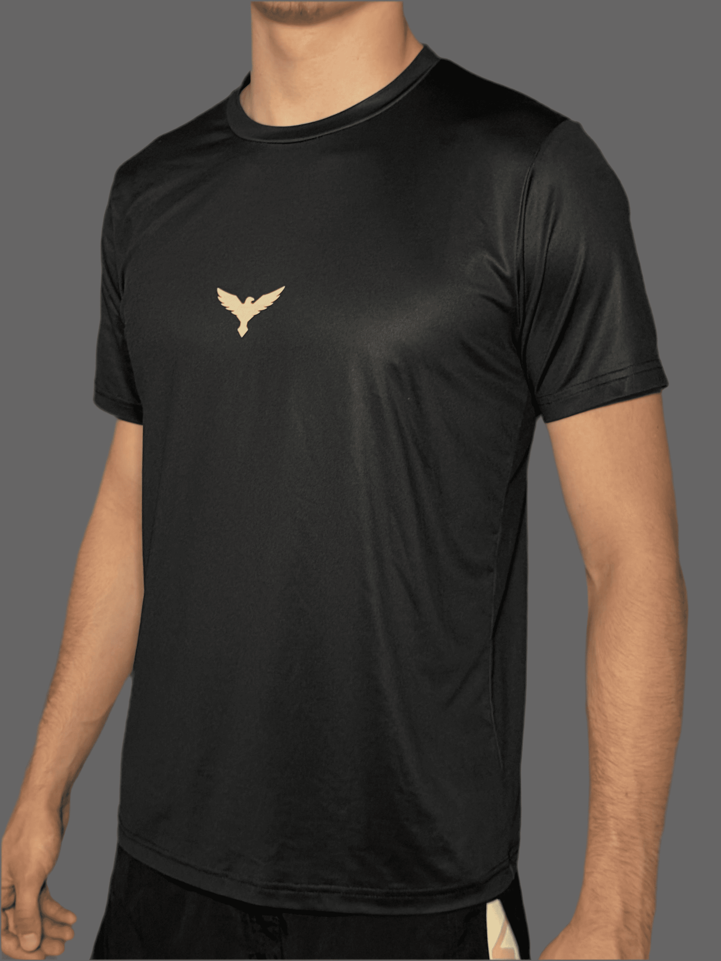VOLNIK T-shirt Black/Gold