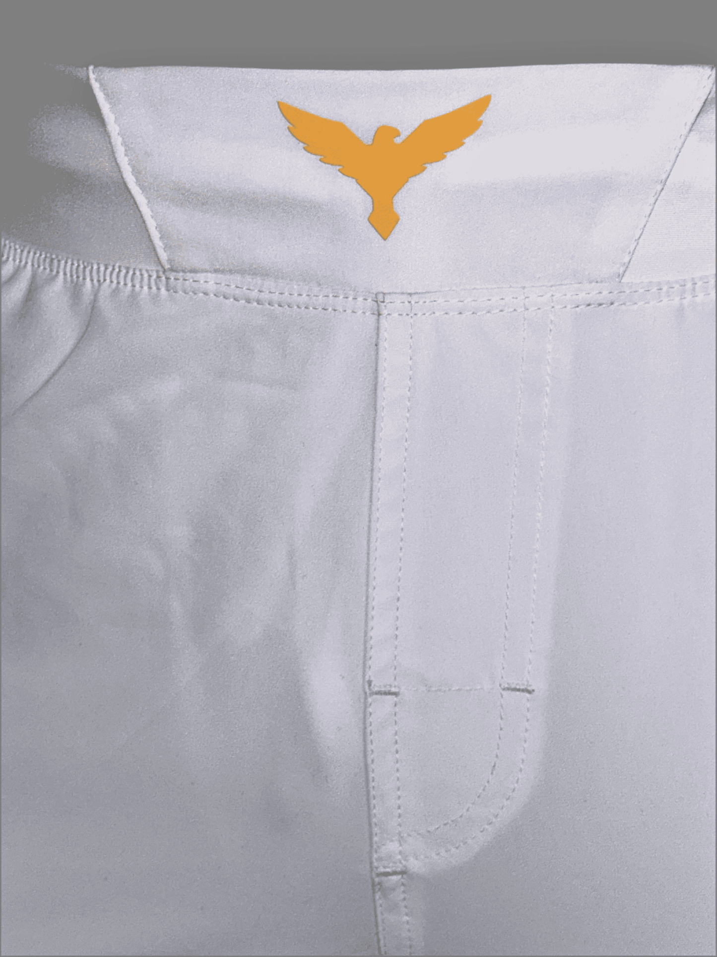 Gladiator MMA-Short White/Gold