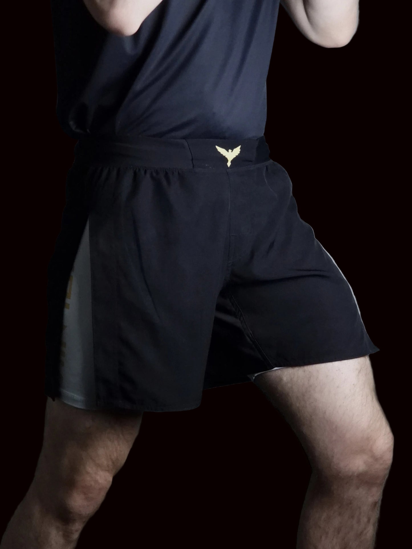 Volnik - MMA Short